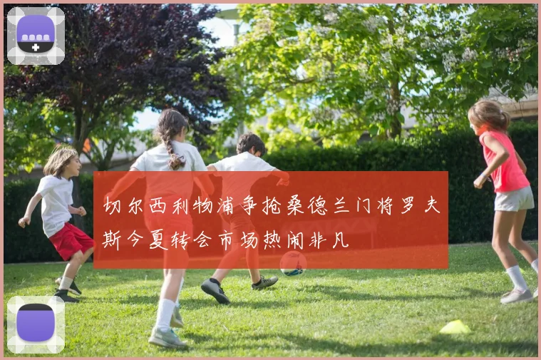 切尔西利物浦争抢桑德兰门将罗夫斯今夏转会市场热闹非凡